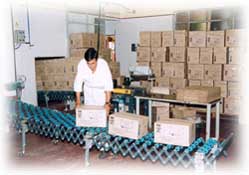 Hi-Tech Lab